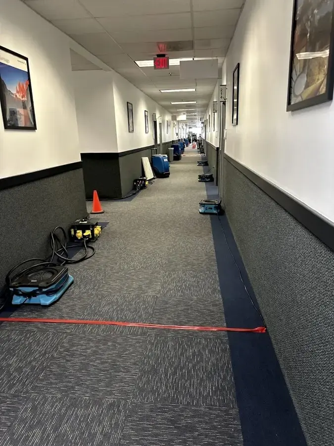Air movers lined along a long office corridor during a commercial dry-out