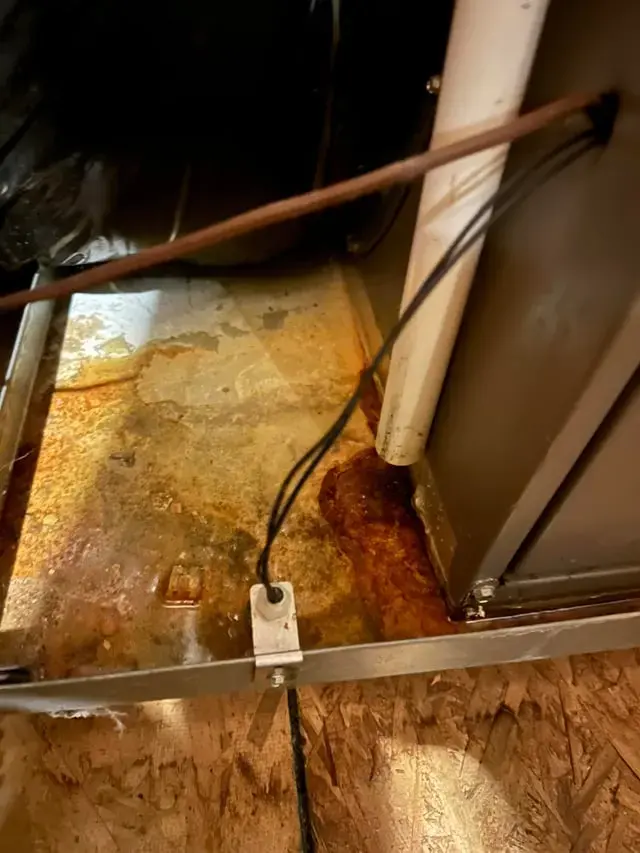 Rust-stained condensate pan holding water under an air handler